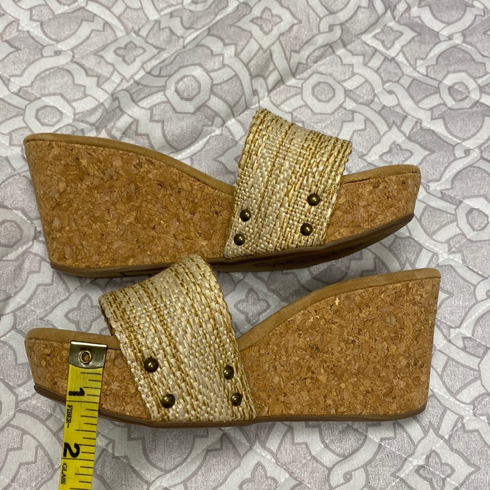 Splendid Platforms - Picture 6 of 7